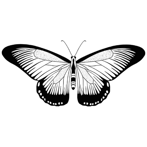 papillon abstrait tatouage booom tattoo